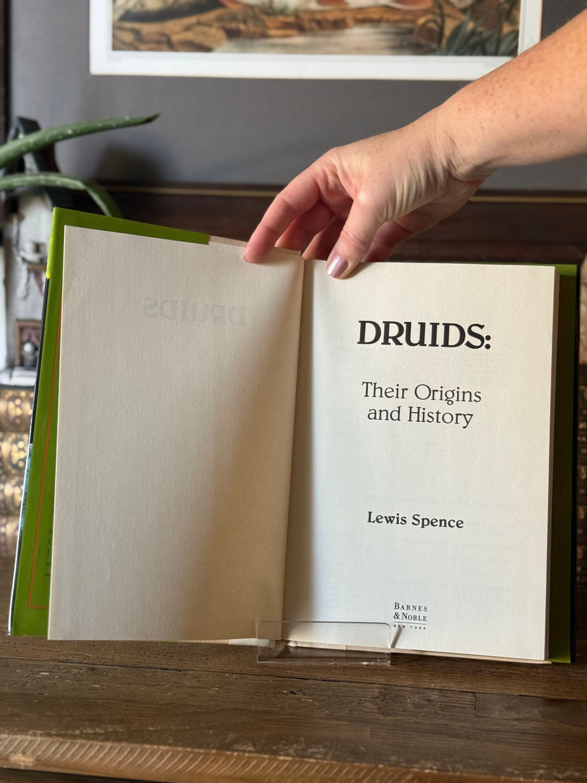 Druids: Their Origins and History by Lewis Spence