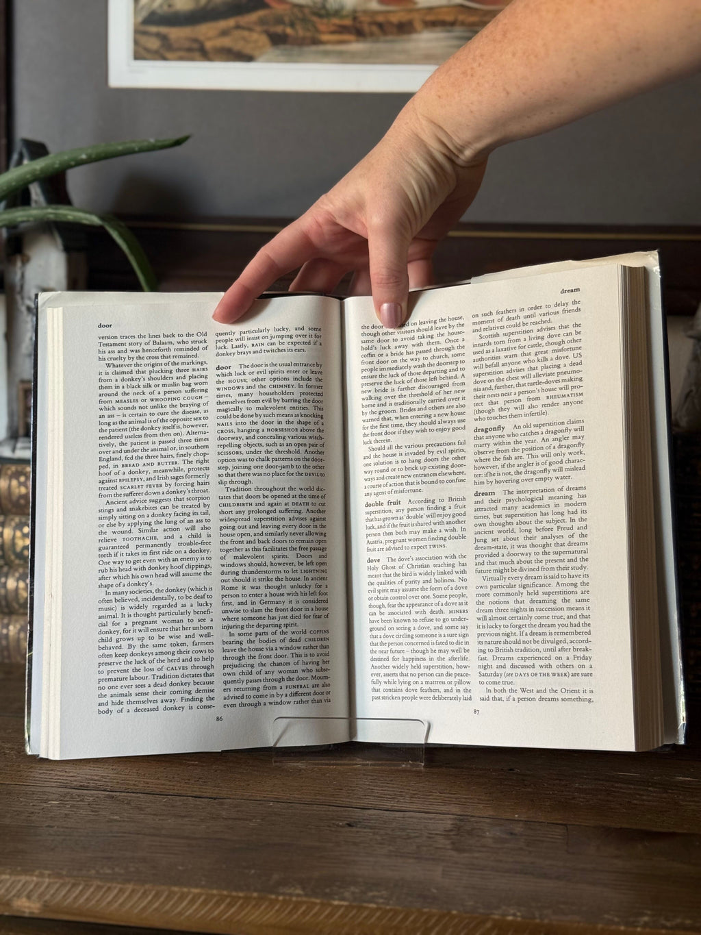 Cassell Dictionary of Superstitions by David Pickering