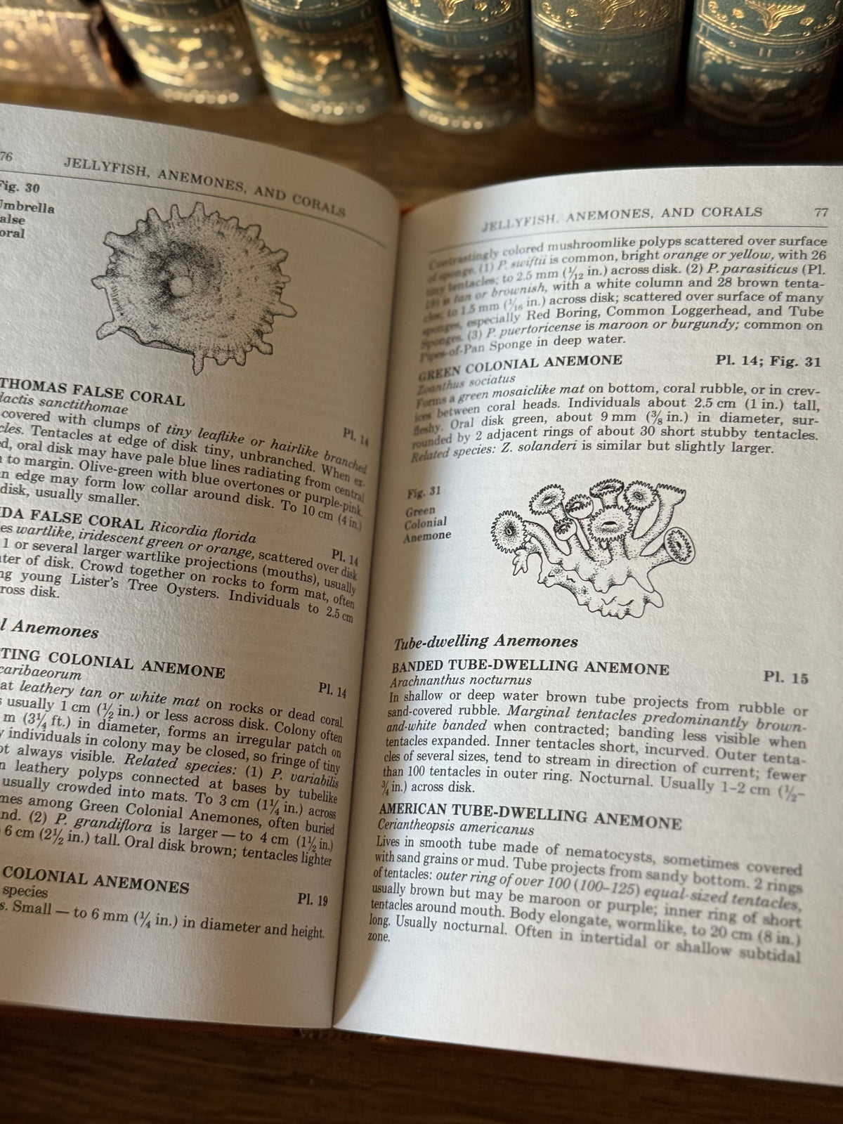 Easton Press Edition Roger Tory Peterson Field Guides: Coral Reefs