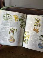 The Encyclopedia of Herbs, Spices and Flavorings