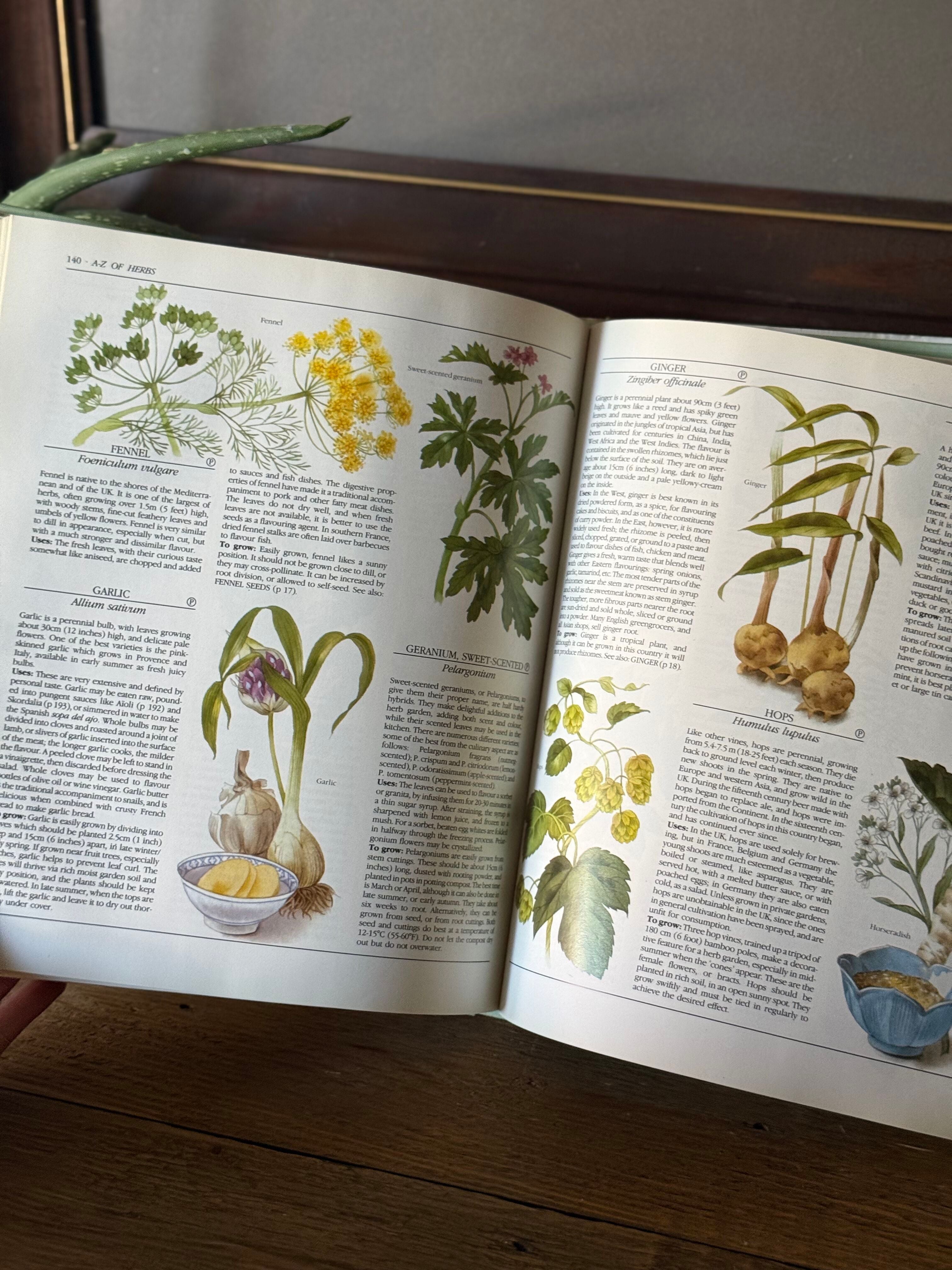 The Encyclopedia of Herbs, Spices and Flavorings