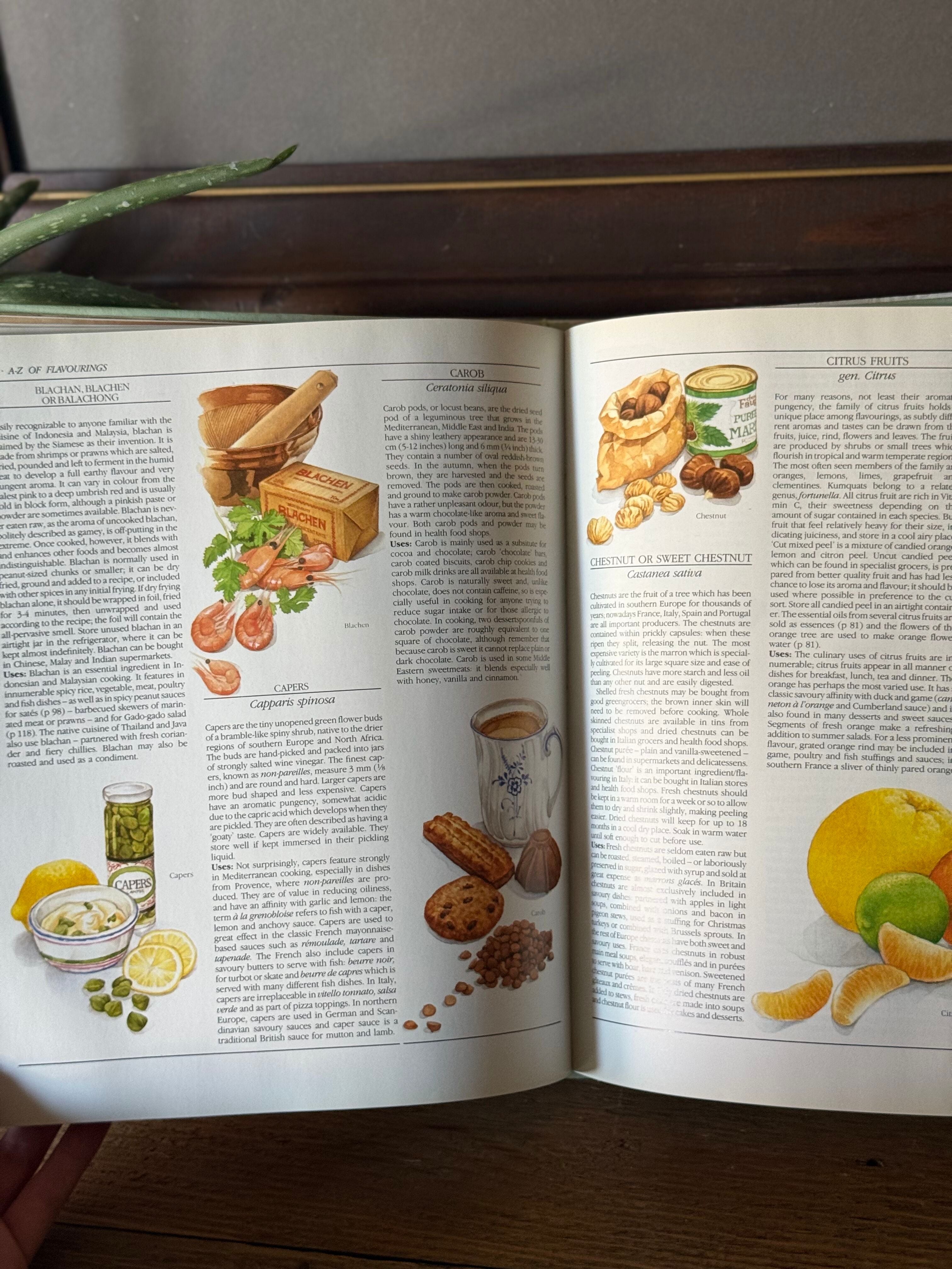 The Encyclopedia of Herbs, Spices and Flavorings