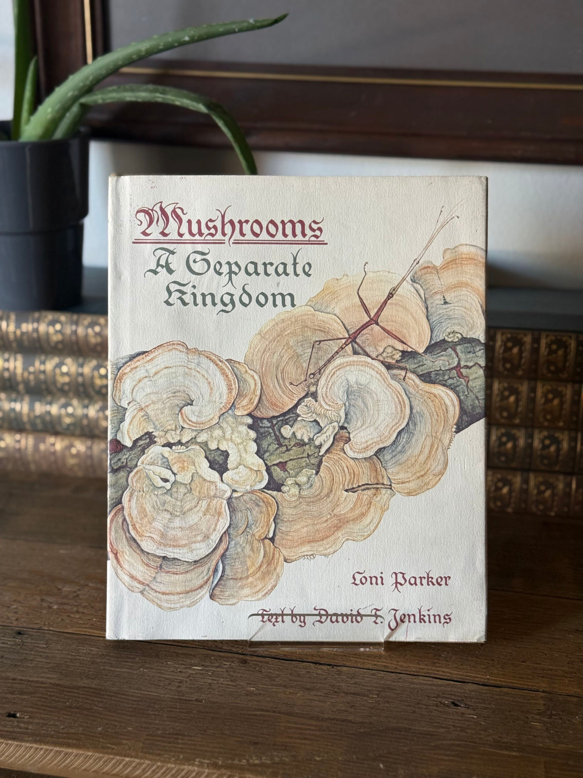 Mushrooms: A Separate Kingdom by Loni Parker 1979