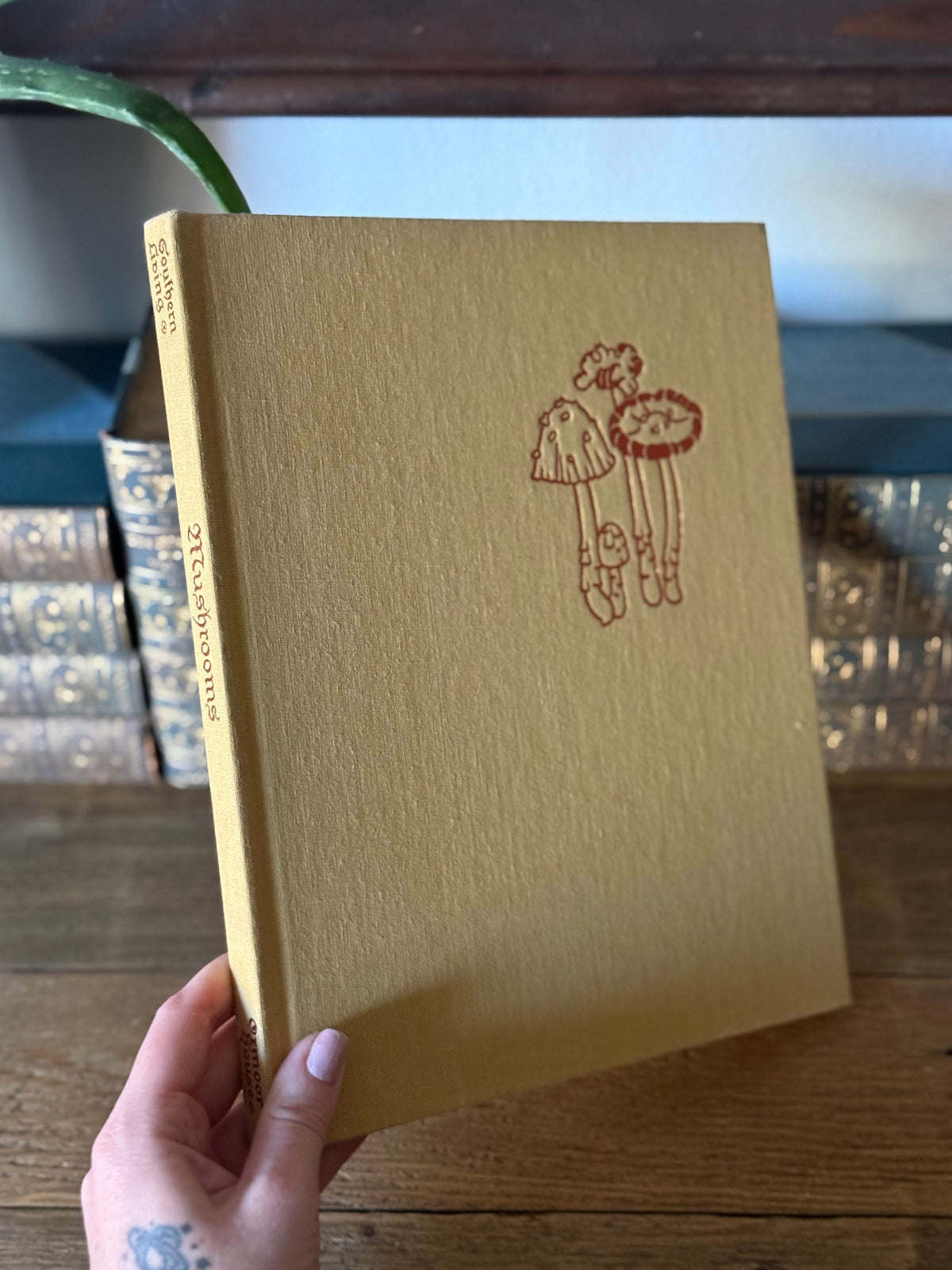 Mushrooms: A Separate Kingdom by Loni Parker 1979