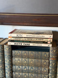 Vintage Paperback Classics Set of 4 | White Fang, Treasure Island, Jules Verne & Kim