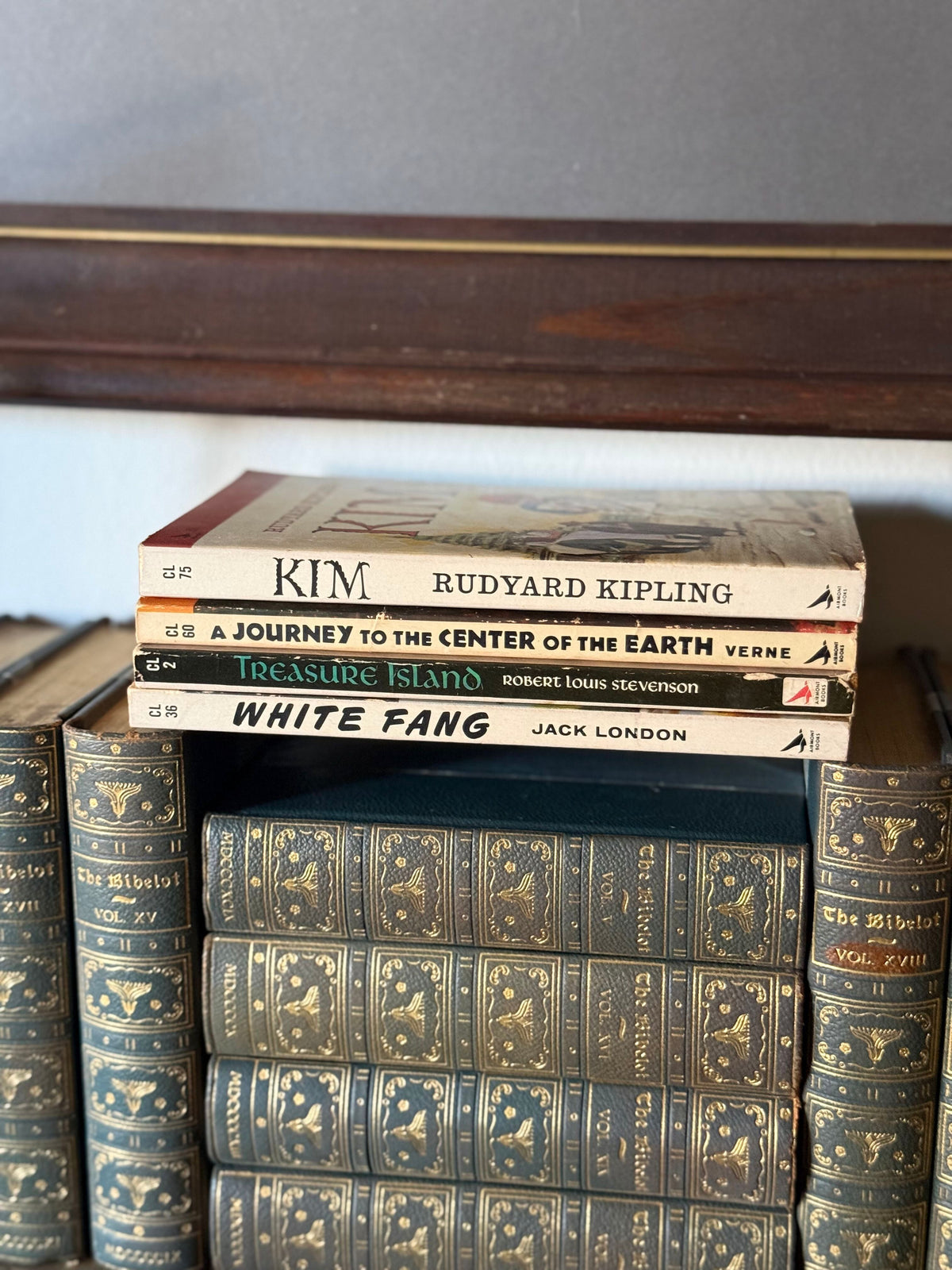 Vintage Paperback Classics Set of 4 | White Fang, Treasure Island, Jules Verne & Kim