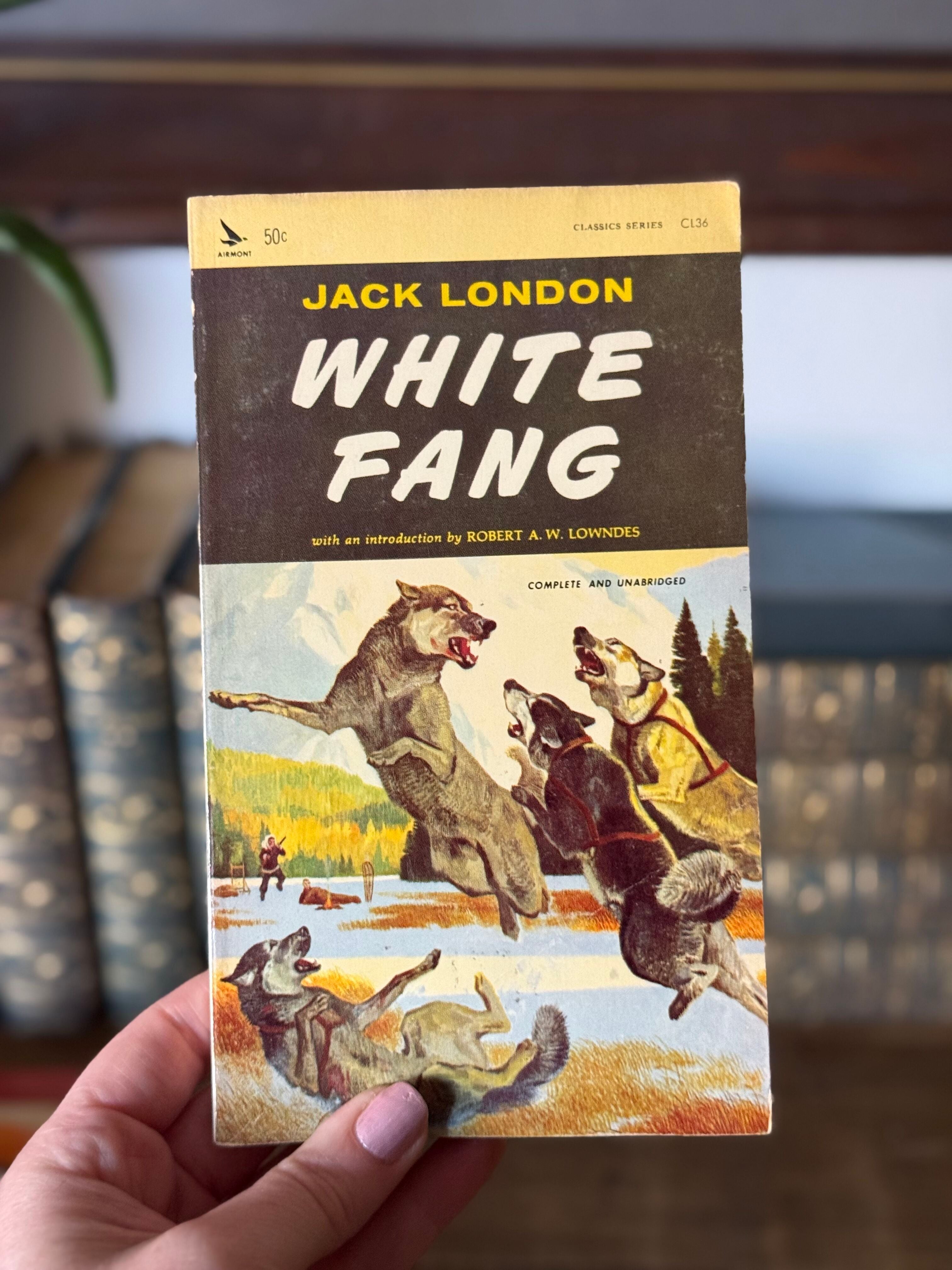 Vintage Paperback Classics Set of 4 | White Fang, Treasure Island, Jules Verne & Kim