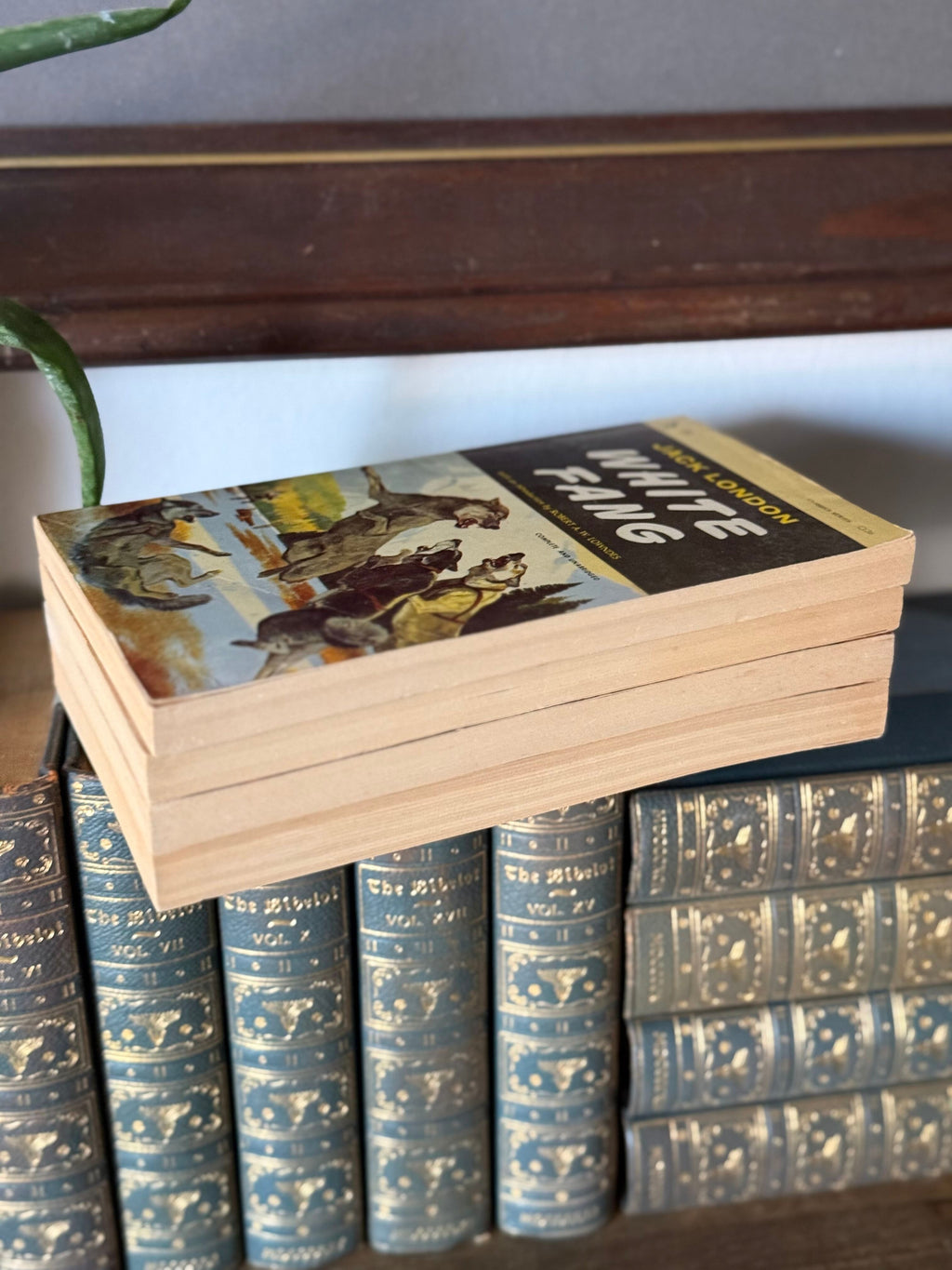 Vintage Paperback Classics Set of 4 | White Fang, Treasure Island, Jules Verne & Kim