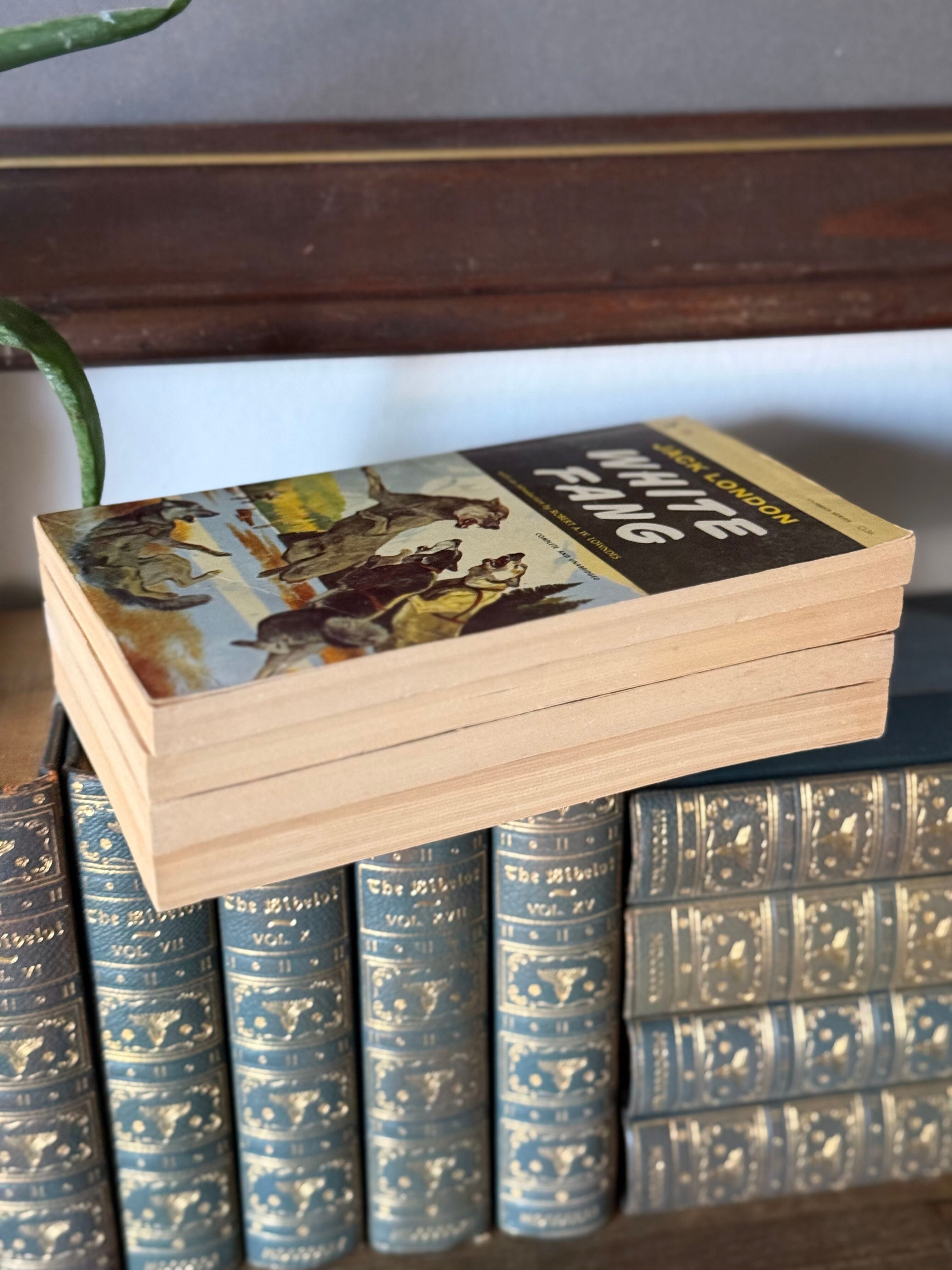 Vintage Paperback Classics Set of 4 | White Fang, Treasure Island, Jules Verne & Kim