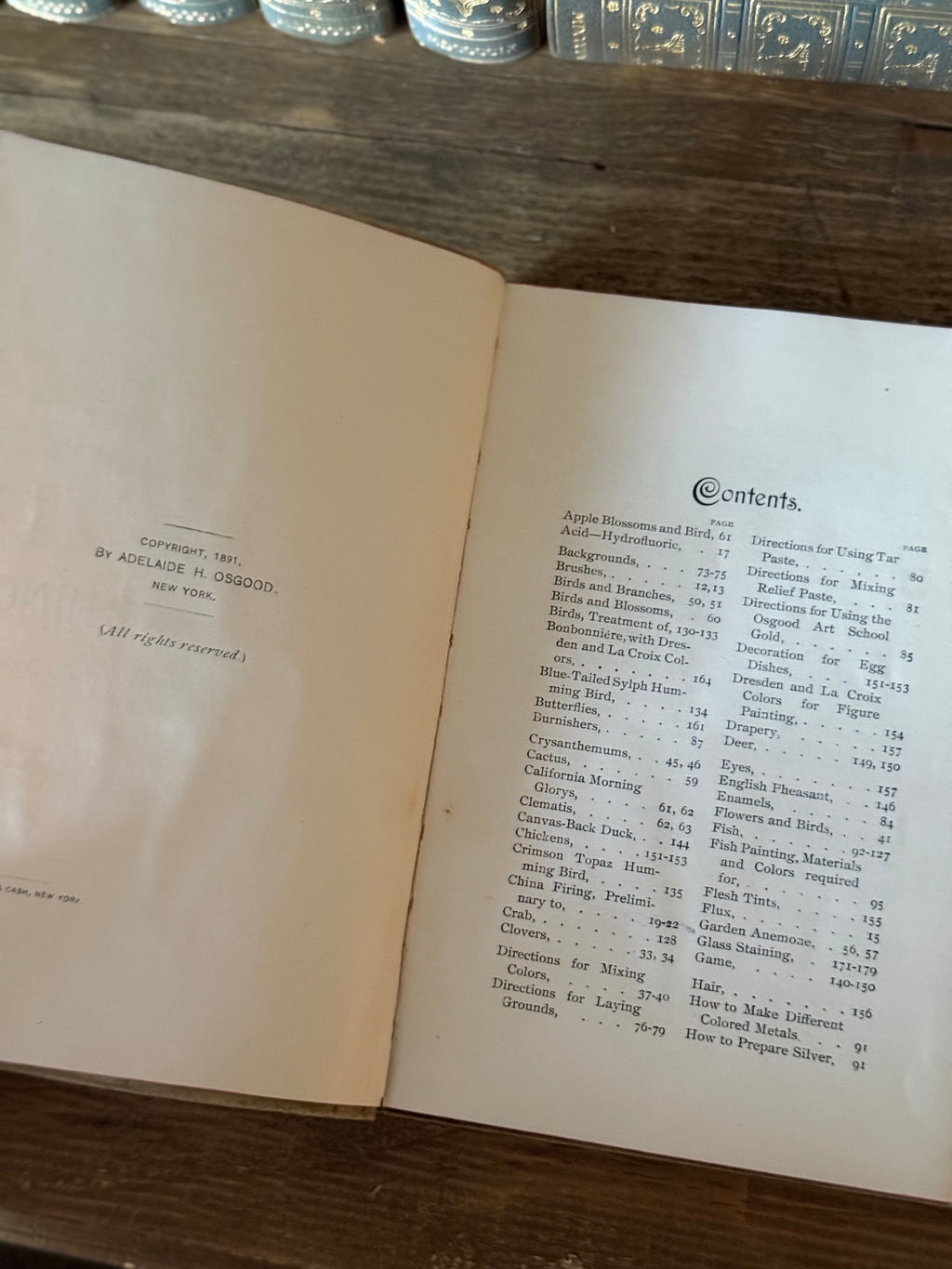 1891 How to Apply Colors to China by Adelaide H. Osgood