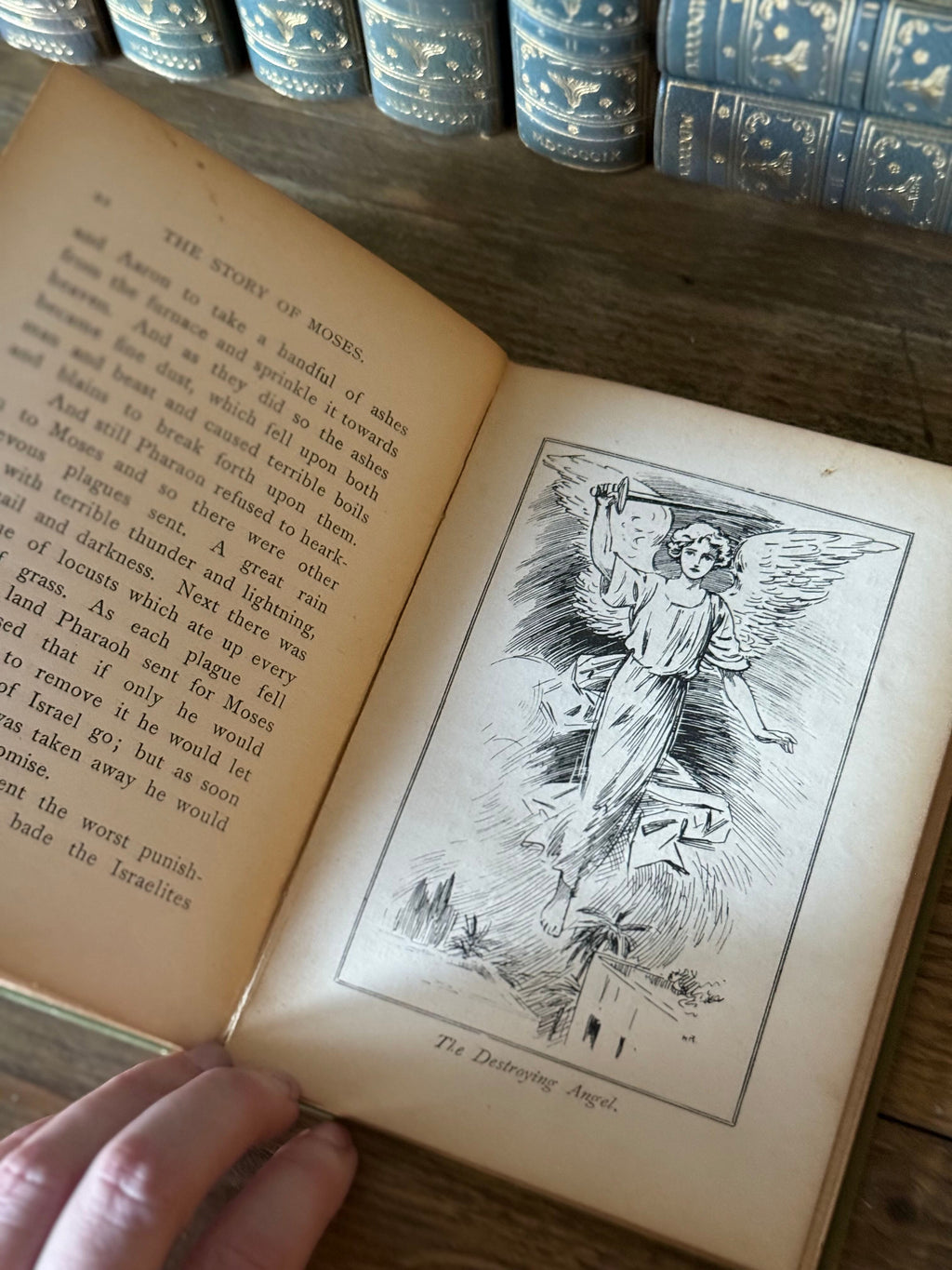 The Story of Moses by L. L. Weedon | 1886 Antique Illustrated Book
