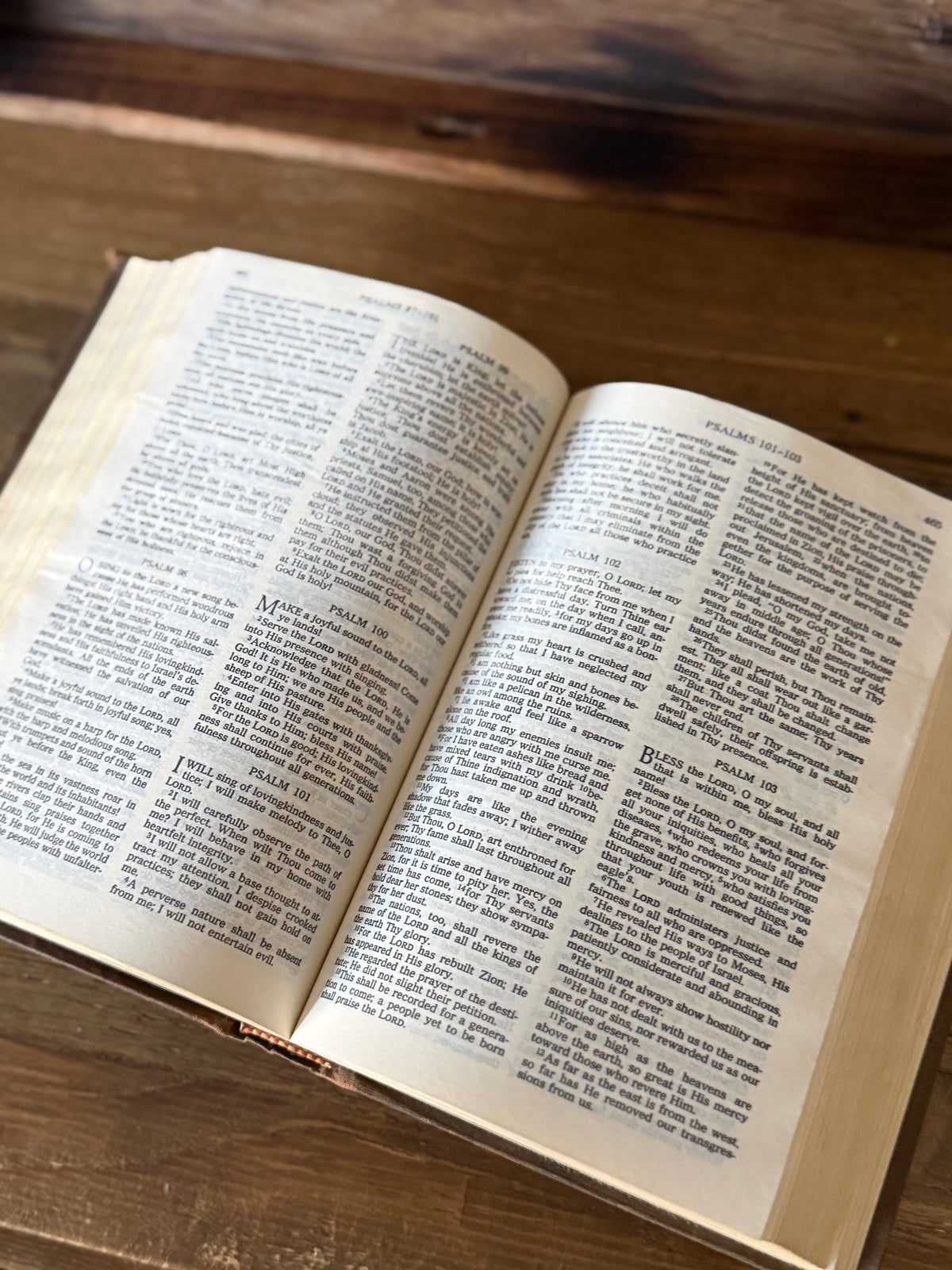 Vintage Gideons Holy Bible