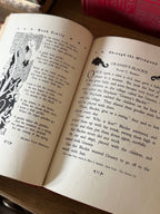 Vintage 1946 Book Trails Volumes 1 & 3 | Illustrated Children’s Books