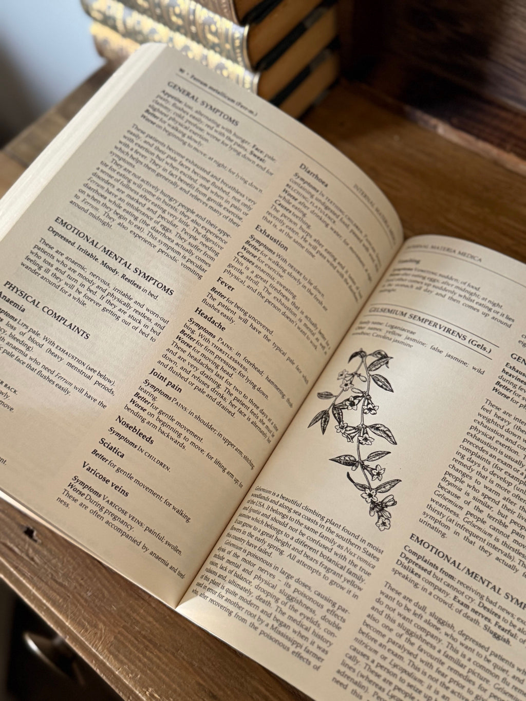 The Complete Homeopathy Handbook | Vintage 1991 Illustrated Herbal & Homeopathic Reference