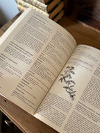 The Complete Homeopathy Handbook | Vintage 1991 Illustrated Herbal & Homeopathic Reference
