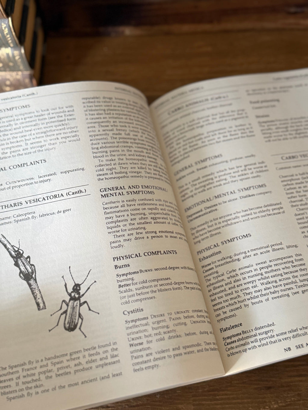 The Complete Homeopathy Handbook | Vintage 1991 Illustrated Herbal & Homeopathic Reference